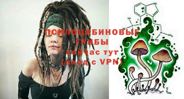 ПСИЛОЦИБИНОВЫЕ ГРИБЫ Аркадак