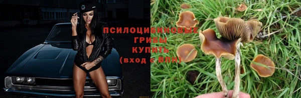 ПСИЛОЦИБИНОВЫЕ ГРИБЫ Аркадак