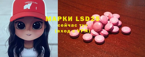 ПСИЛОЦИБИНОВЫЕ ГРИБЫ Аркадак