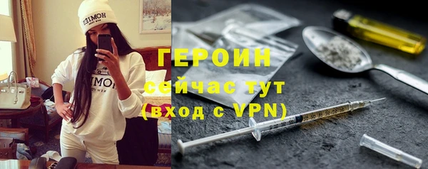 сатива Новозыбков