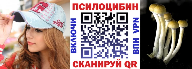 Псилоцибиновые грибы Psilocybine cubensis  Саяногорск 